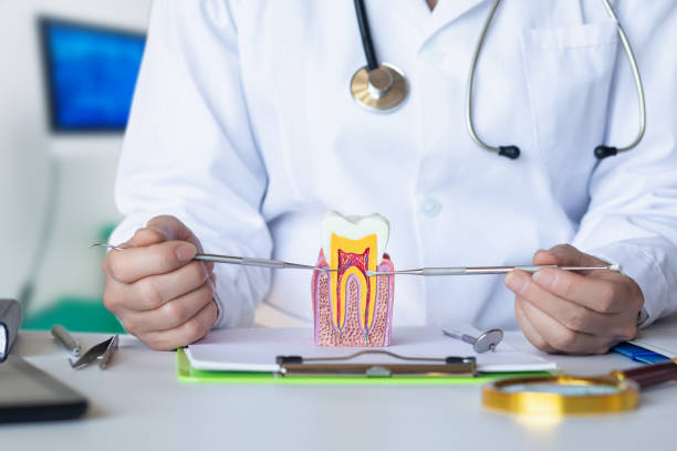 Best Emergency Tooth Extraction in San Felipe, TX